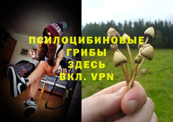 крисы Беломорск