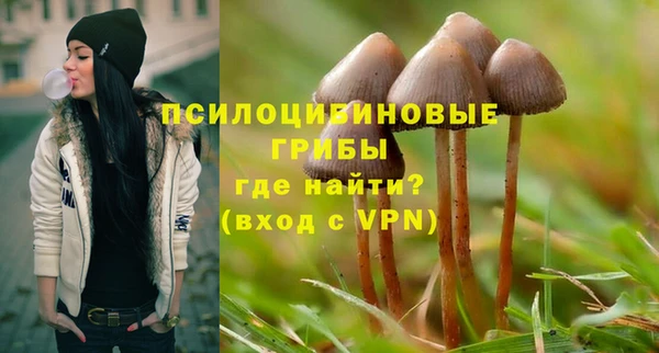крисы Беломорск